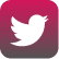twitter button